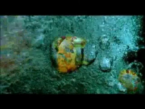 Cesaretin Var mı Aşka? - Fragman