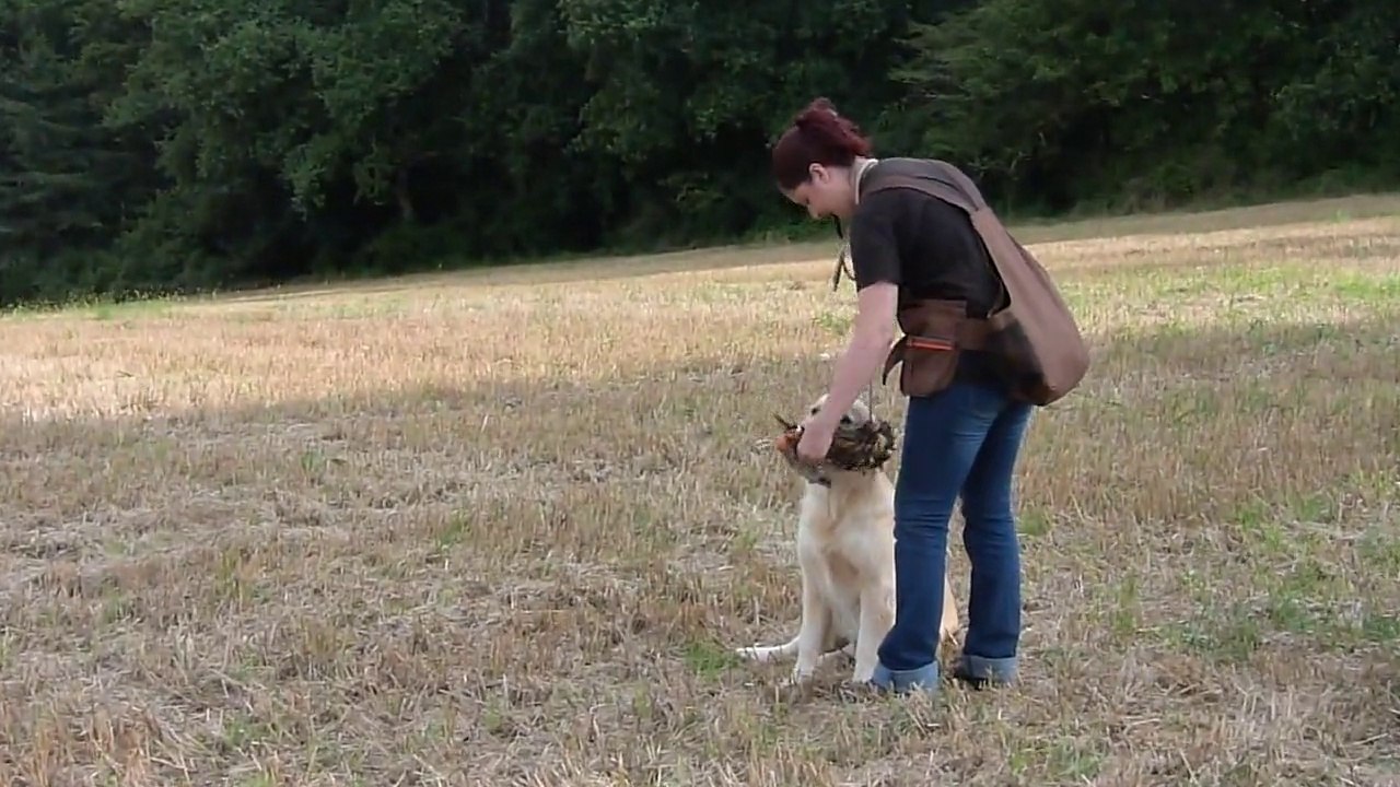 Travail First le 09-08-2014