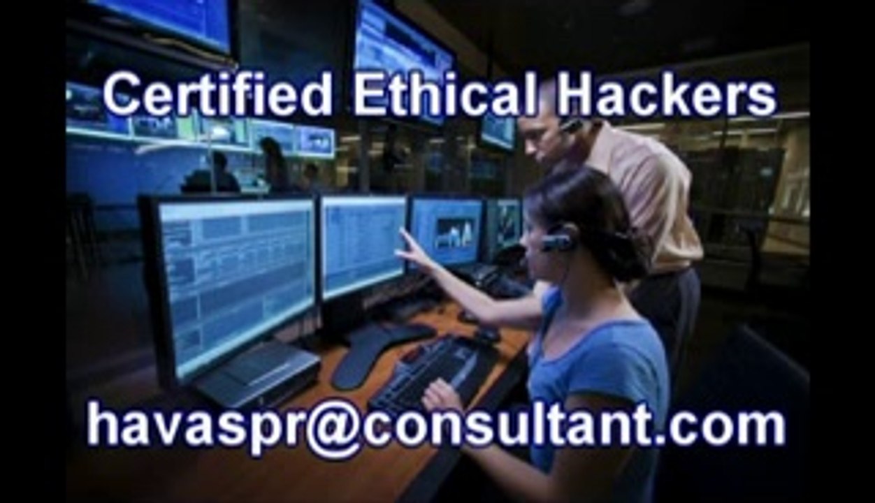 how to hack a website database