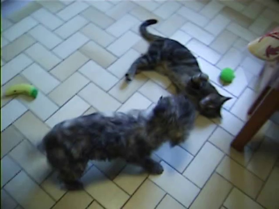 Babylone et Jaudy