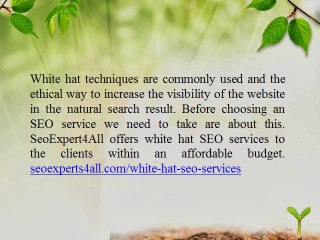 White Hat SEO Services