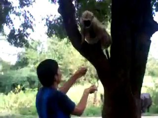 This happens only in India