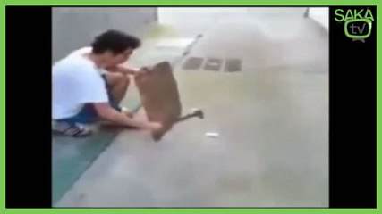 Liselinin Batarya İle İmtihanı