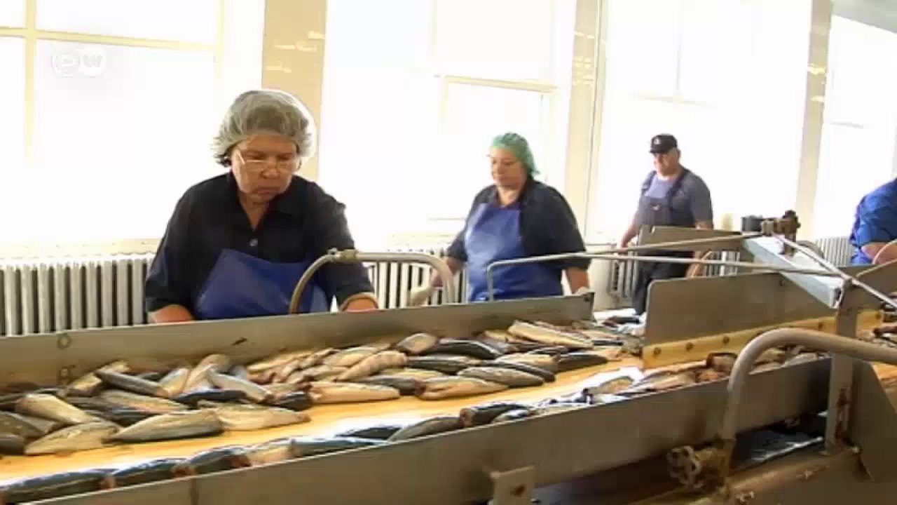 Wie das Importverbot die Russland-Anrainer trifft | Made in Germany