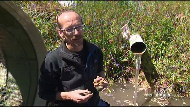 LE BLOGUEUR N°136 - Danger, espèces invasives !