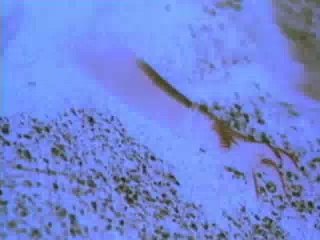 Battlefield Earth  - Fragman