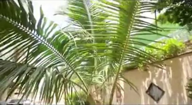 Aik Minute Ki Naiki Meri Kahani Meri Zubani - Sunehra Daur