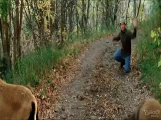 Can Yoldaşım - Fragman