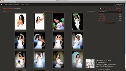How to purchase prints via Seven Colours Photography
