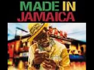 Elephant Man - Log On (Liquid Riddim)