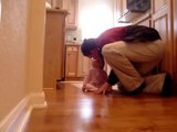Baby Has The Cutest Reaction When Dad Comes Home