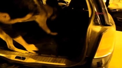 Edirne Otomobilin Bagajından 9 Kilo Eroin Çıktı