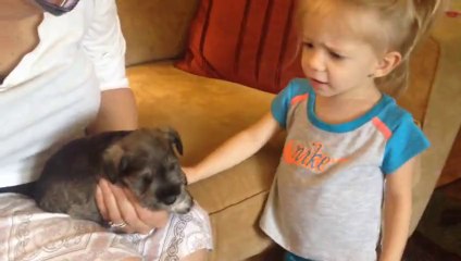 Sevimlilikten ölmeye ramak kala