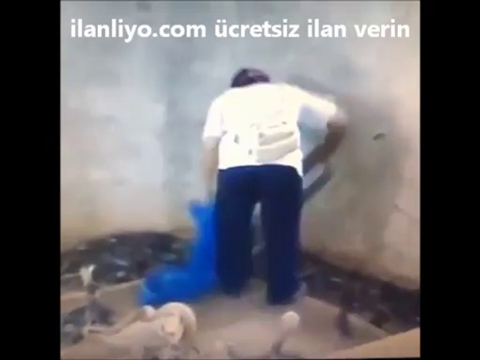 Isini sevmeyen Adam