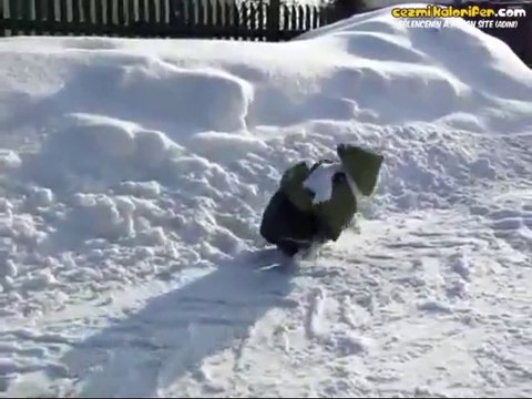 Kar Görünce Kendinden Geçen Maymun