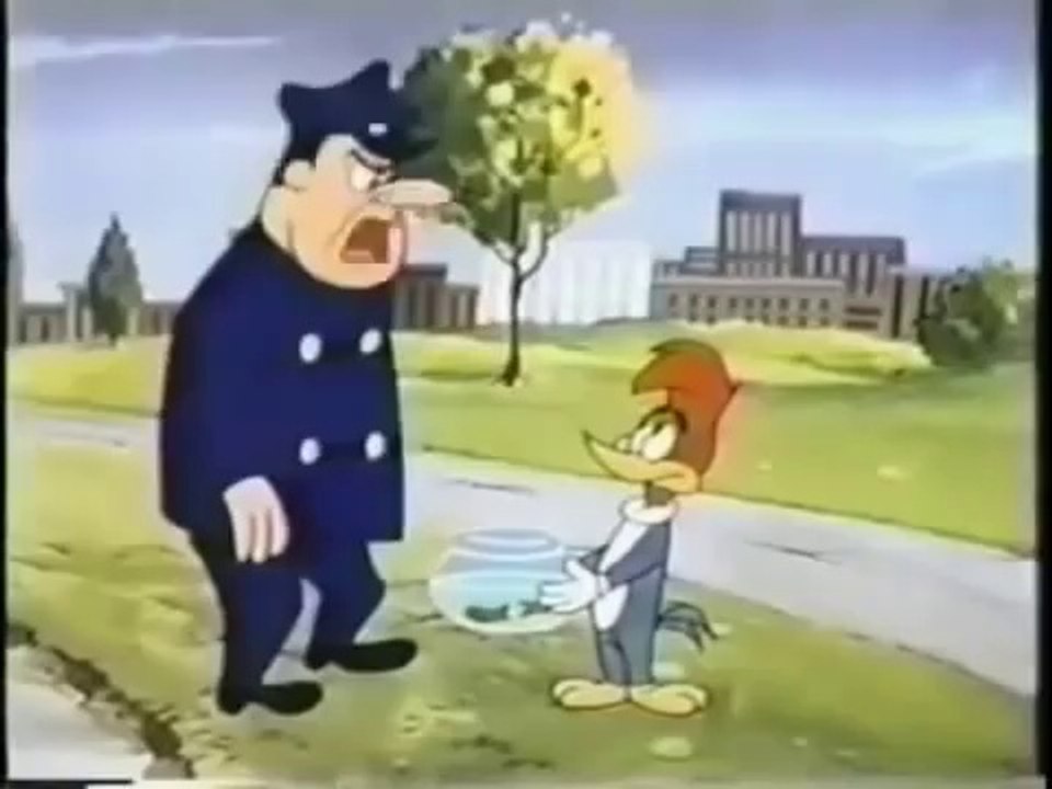 Woody Woodpecker_Seal On The Loose