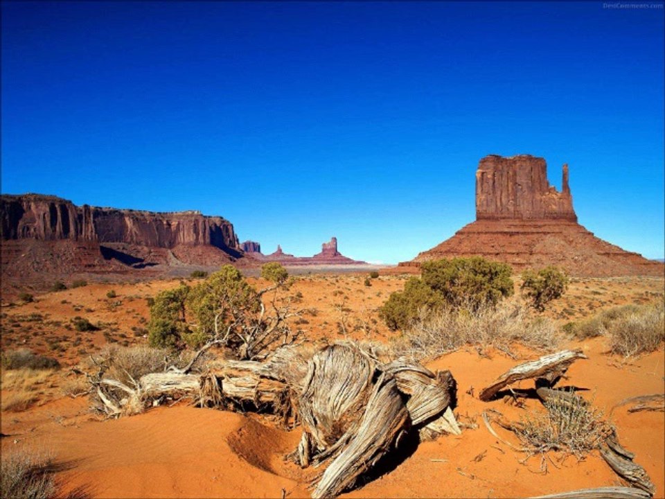 Desert Bound by The Electric Trunk