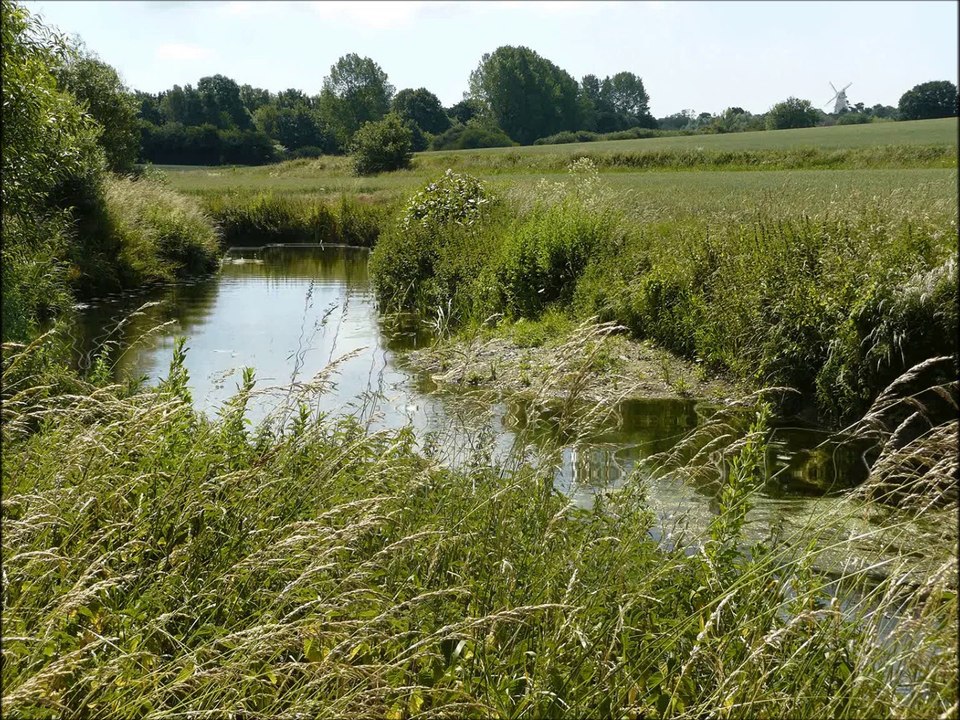 Chant du ruisseau