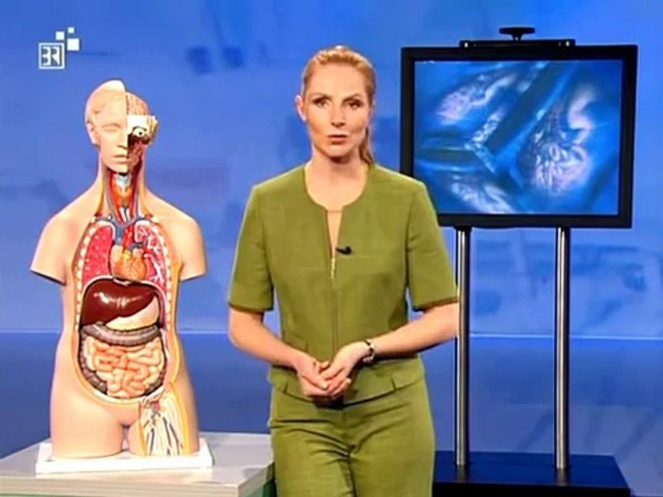 Biologie - 06. Der Weg der Nahrung