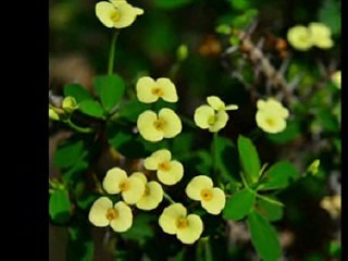 동대문대딸방racetracks 유pd 백석동대딸방