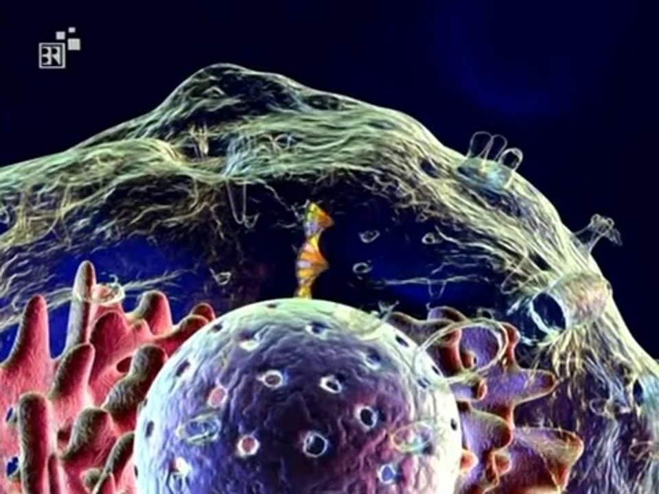 Biologie - 11. Anwendungen der Gentechnik