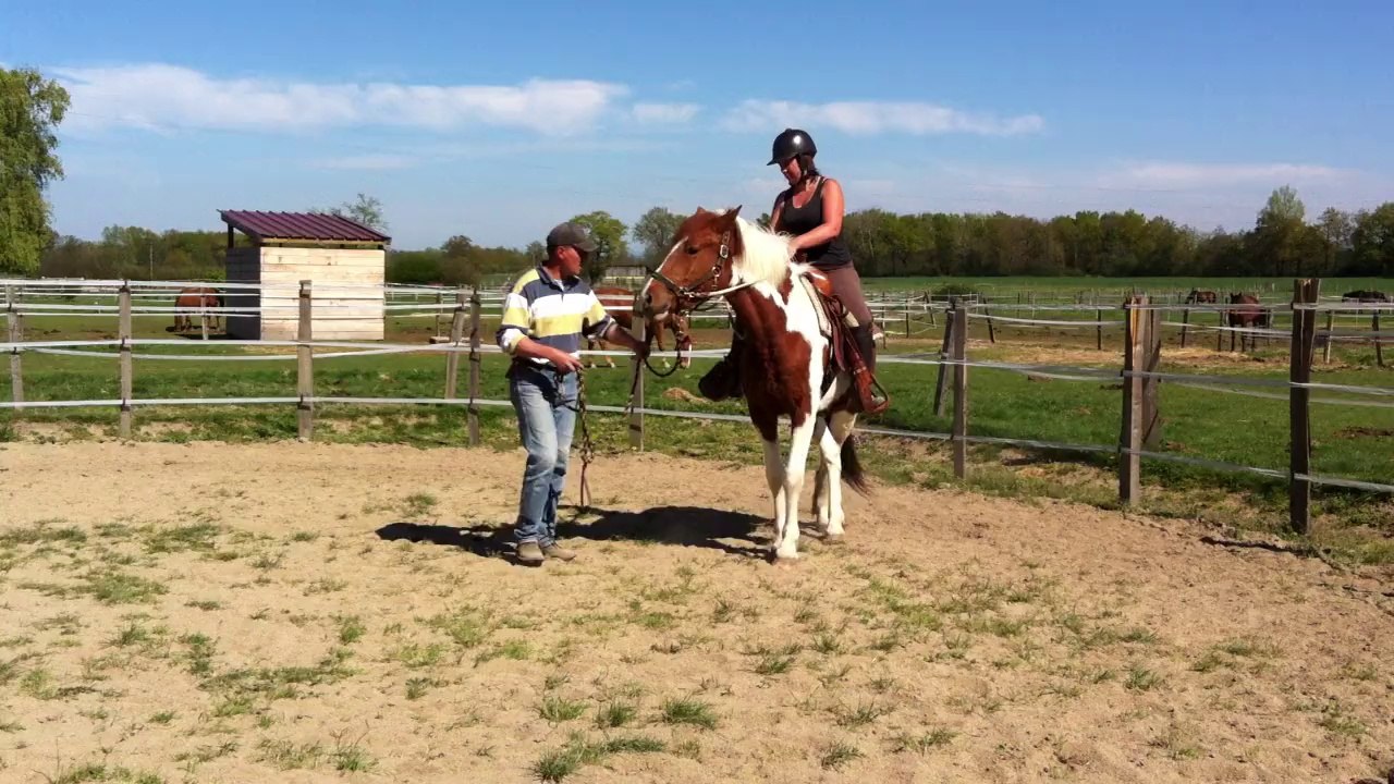 Cheyenne (avril 2014)