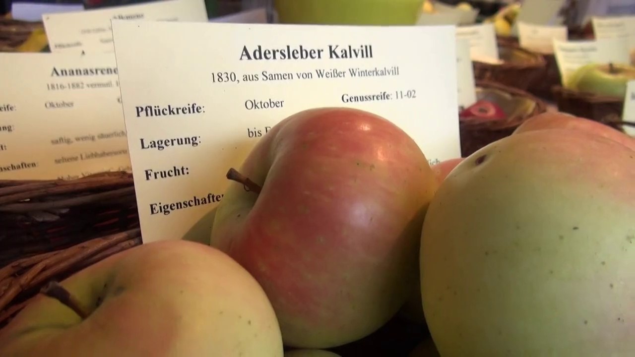 Elsässisches apfelfest