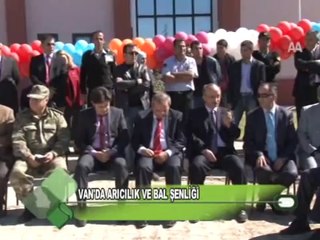 VAN_DA ARICILIK VE BAL ŞENLİĞİ