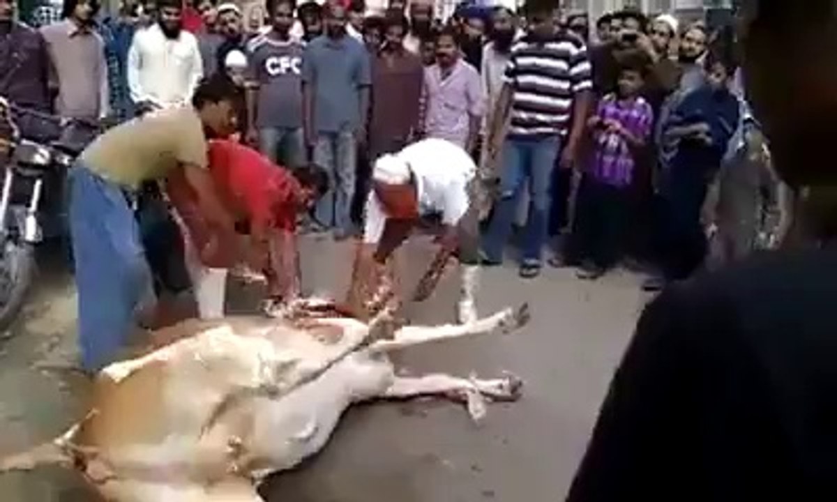 This is a real pakistani butcher watch video