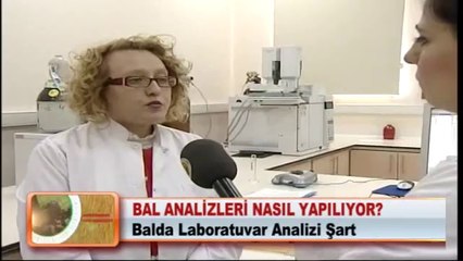 11- BAL ANALİZLERİ NASIL YAPILIYOR_ 10.04.2012