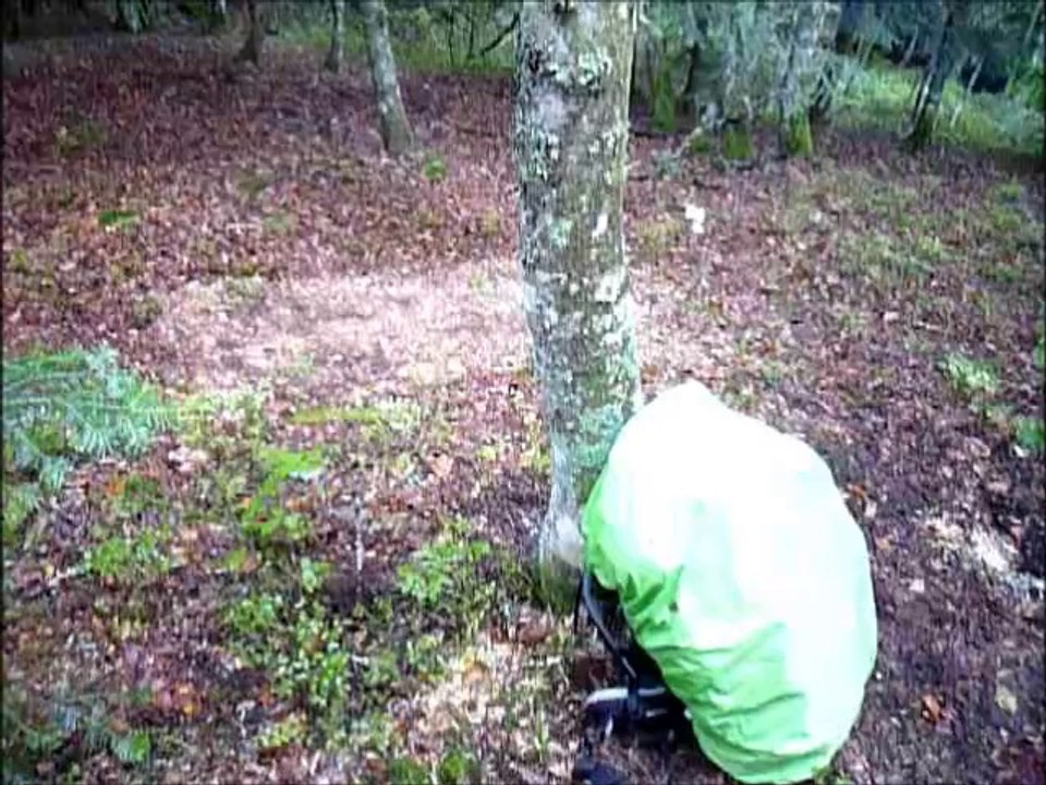 rando solo 5 jours en autonomie dans le massif central; octobre 2014