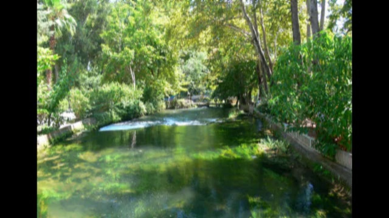 Ohrmarken Schwachsinn! Dahinter steckt  eine ganz andere Absicht!