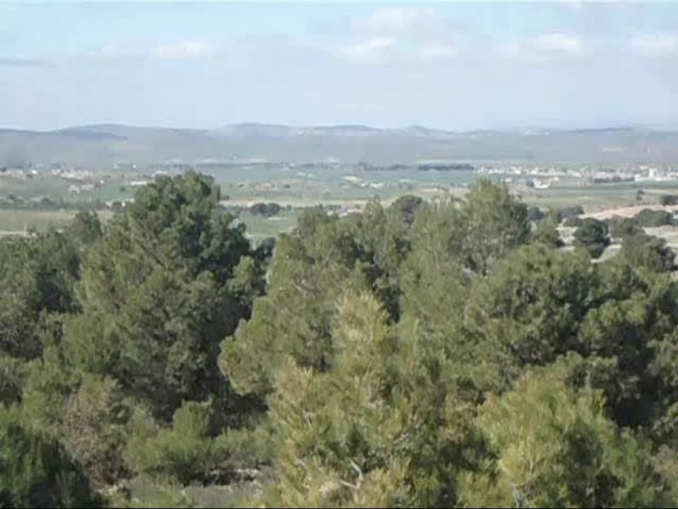 El Hachimia et ses alentours.