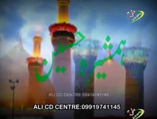Hamsheer-e-Hussain as by Kalbey Abbas Nohay 2014 2015 / 1436 Hijri