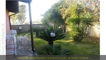 ROMA, ARDEA   VILLA TRIFAMILIARE  NUOVA CALIFORNIA MQ 60 EURO 138.000