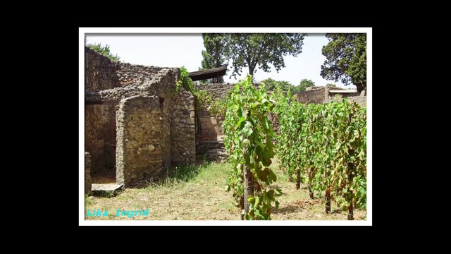 Помпеи. Италия. Pompei. Italy