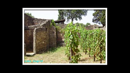 Помпеи. Италия.  Pompei. Italy