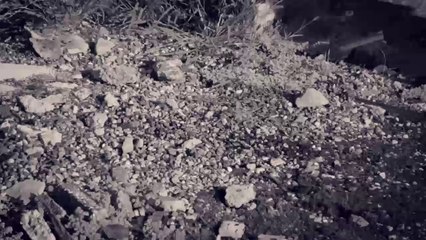 Cogito Ergo Sum - Ambis