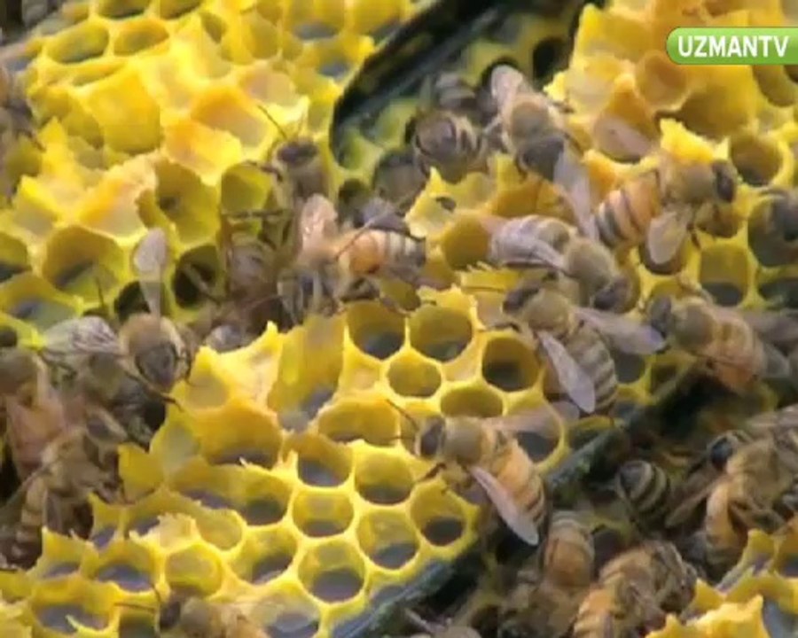 Çiçek balının özellikleri nelerdir