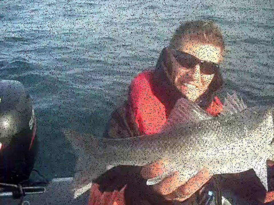 peche au bar 58cm tenryu super mix 240