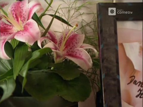 Die Harald Schmidt Show - 0004 - 1995-12-08 - Michael Buffer, Hannelore Elsner, Peer Augustinski, Edwyn Collins