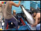Nâng cao giá trị thủy hải sản theo chuỗi giá trị - nghenong.com