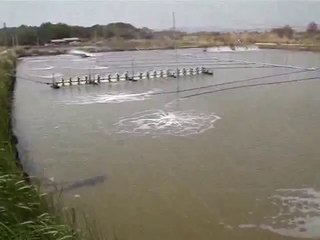 Aero tube (Ống xốp) - công nghệ khuếch tán oxy hữu hiệu cho ao tôm - nghenong.com