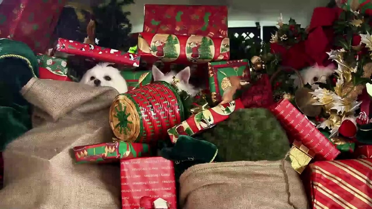 The Three Dogateers (2014) Trailer