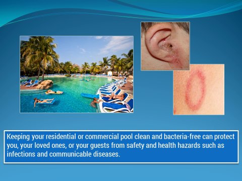 Arizona Pool Care Company Trivia - Arizona Pool Service