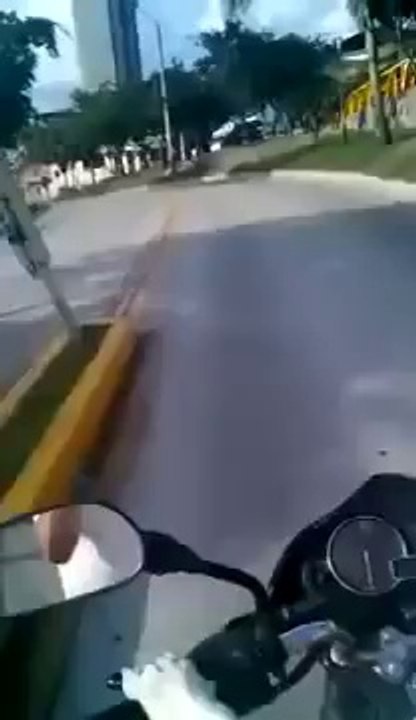 Dog riding a Motorcycle