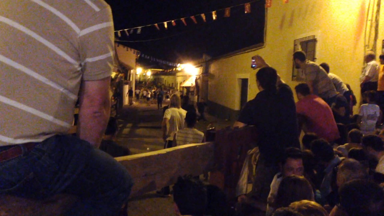 Toros Daganzo 2014