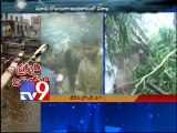 Strong winds batter Visakhapatnam - Tv9