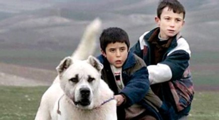 'Sivas' Filmine Hayvanseverler Tepki Gösterdi