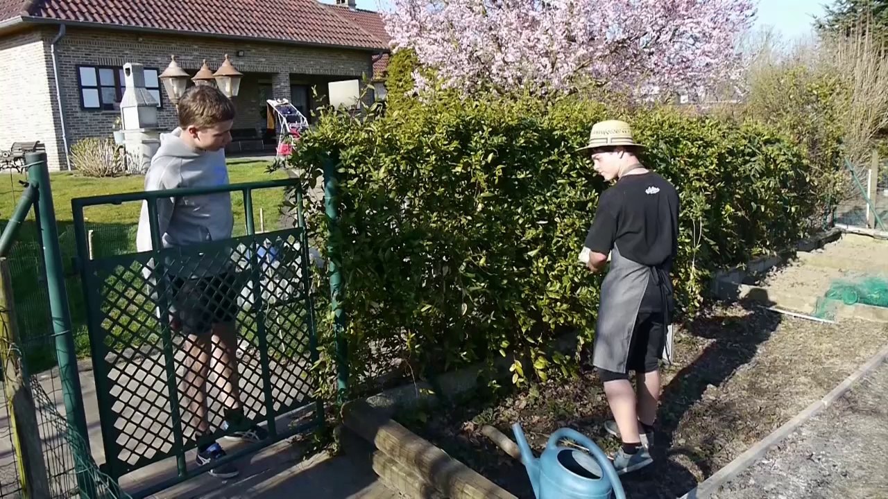 jonghernieuwers